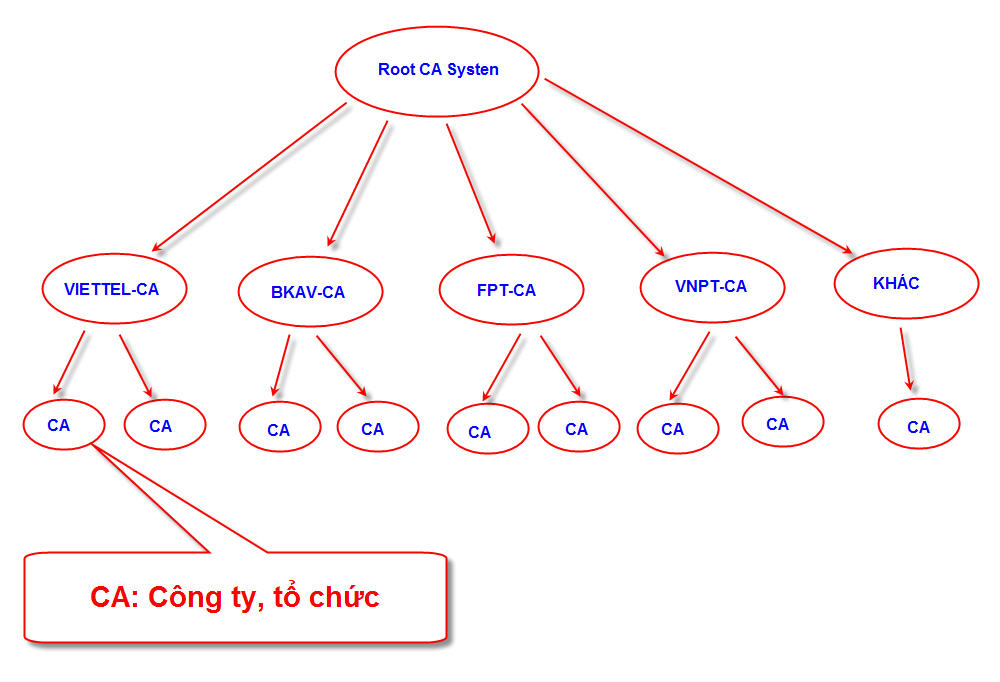 mo hinh root ca